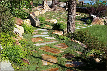 Landscaping Design, Installation and Maintenance