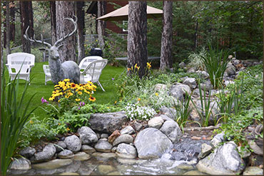 Landscaping Design, Installation and Maintenance